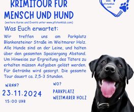 Pfotenklub Bild 2