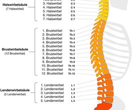 Chiropraktik Nefsen Schunda Bild 3