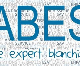 Abes SARL image 2