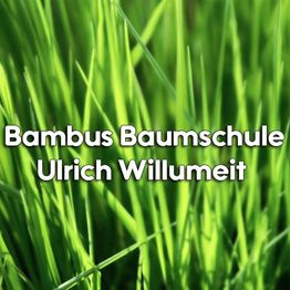 Bambus-Baumschule Ulrich Willumeit