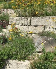 Käser Gartenbau AG Bild 4