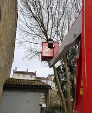 Evan Garden17 image 16