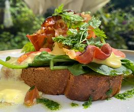 Egg Benedict mit Bacon