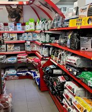 Qua la Zampa di Alessia Milani Termini Bild 10