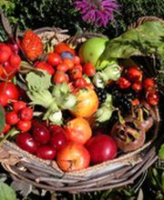 Kälin & Helbling AG Bild 1