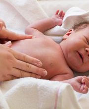 Osteopathie Darmstadt Michaela Wunsch & Kolleginnen Bild 8