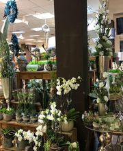 Blumen Interfleur Floristik & Wohnaccessoires Bild 5