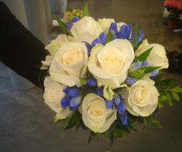 Fiorito Bild 5