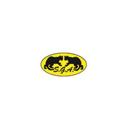 S.G.A. Societa' Gestione Autosaloni Srl logo