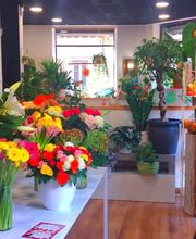 Sara Fiori immagine 11