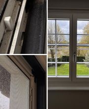 Elm Proficlean & Pflege Stanculovic Bild 11