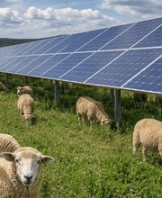 Moritz Cordes Landwirtschaft Bild 1
