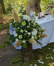 Wald-Zeremonien Bild 4