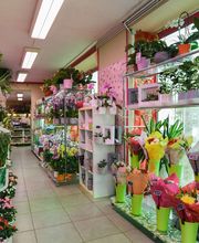 Le Langage Des Fleurs image 16