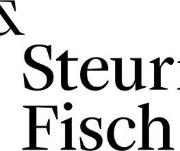 SteuriFisch AG Bild 1