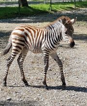 Erlebniswelt Seeteufel Bild 3