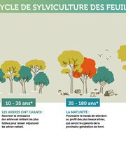 Ads Bois SARL image 4