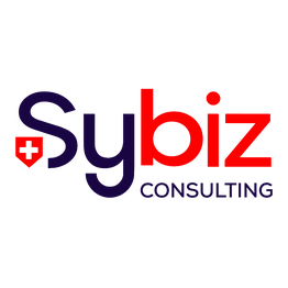 Sybiz SA Consulting