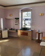 Haxaire Cécile image 4