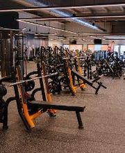 Gimnasio VivaGym San Fernando Janer imagen 6