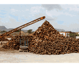 700809-Lenas-y-Carbones-Jorda-carrusel-1-min.png