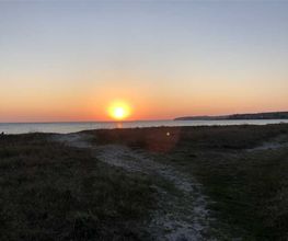 Super Hundeurlaub Bild 9