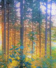 Nature Sophro image 2