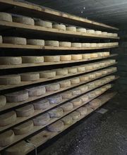 AZIENDA AGRICOLA ARCIONI LUIGI Bild 12