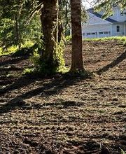 Saylor Landscaping image 18