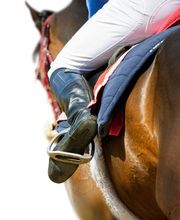 Escuela Hípica los Nogales imagen 9