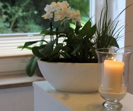 Ambiente im Boutique Hotel Rosengarten Hamburg