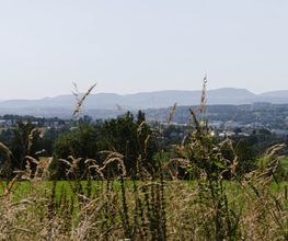 Vom Waldrand aus ergeben sich schöne Ausblicke in die Landschaft.