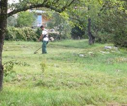 Jardinservice SARL image 13