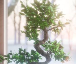 LB Studio 3D image 8