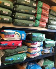 Zoopalästchen Bild 9