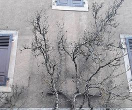 Reuter Philippe SARL image 11