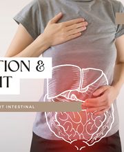 Anne Roquette SARL image 8