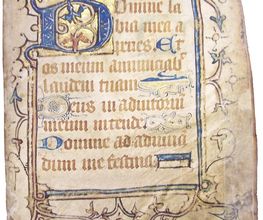 La Librairie Bourbonnaise image 6