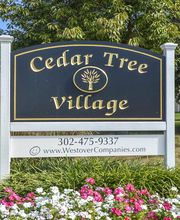 Cedar Tree Apartments image 6