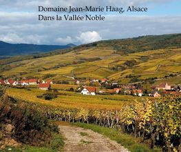 Haag Jean-Marie image 4