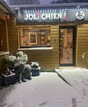 Joli Chien ! image 2