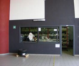 Masotti Auto srl immagine 9