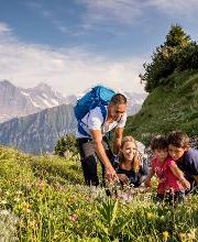 Botanischer Alpengarten Schynige Platte Bild 3