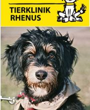 Tierklinik Rhenus AG Bild 7