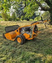 Müller Garten & Haus Bild 3