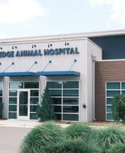 River's Edge Animal Hospital image 5