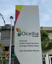OCELLIA image 3