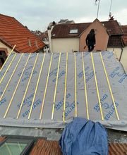 Seneca Antony image 2