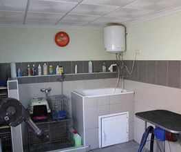 clinica-veterinaria-jayda-peluqueria-02.jpg