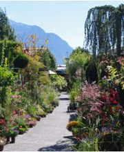 Müko Gartengestaltung AG Bild 5